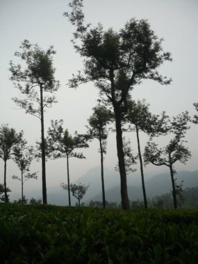 267395_10150269873121953_1829051_n